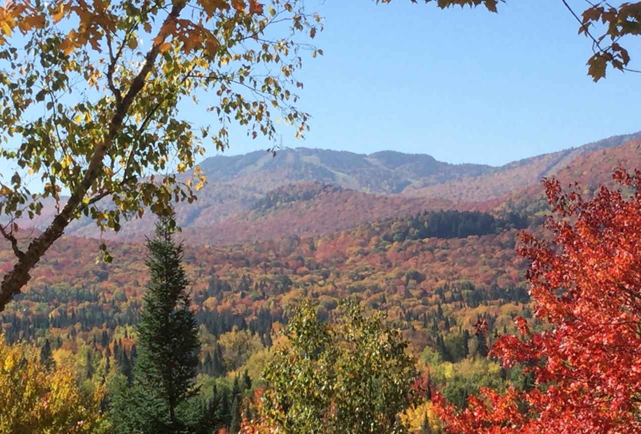 Spectacular Fall colours from the cabin deck